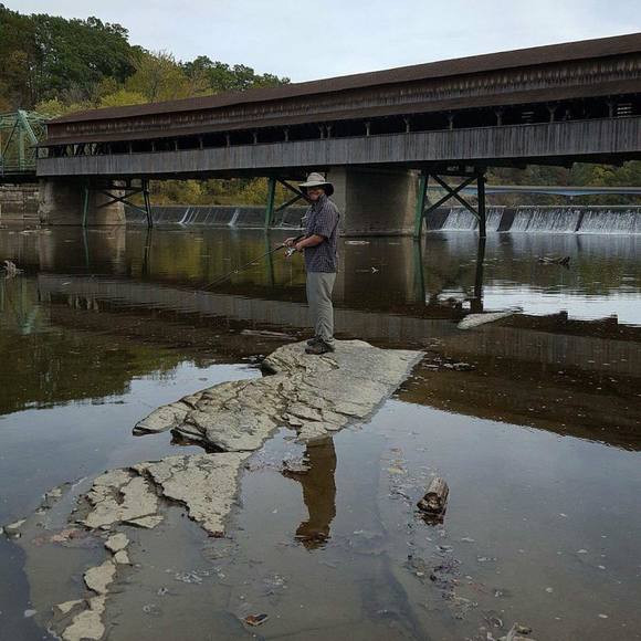 Meet your Posher, Casey - Picture 1 of 1